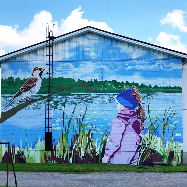 Picture from Mixed murals
